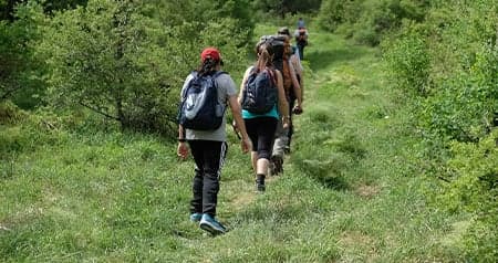 Walking Trails